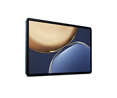 5G工业防爆平板CC-IPM501